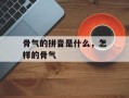 骨气的拼音是什么，怎样的骨气
