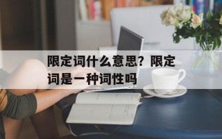 限定词什么意思？限定词是一种词性吗