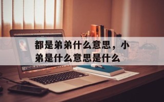 都是弟弟什么意思，小弟是什么意思是什么