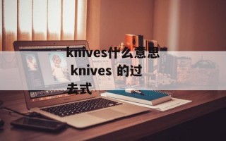 knives什么意思 knives 的过去式
