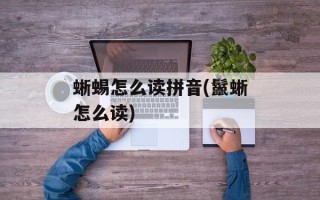蜥蜴怎么读拼音(鬣蜥怎么读)