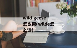wild geese怎么读(wilde怎么读)