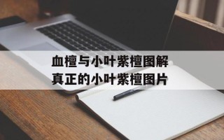 血檀与小叶紫檀图解 真正的小叶紫檀图片
