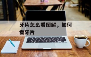 牙片怎么看图解，如何看牙片