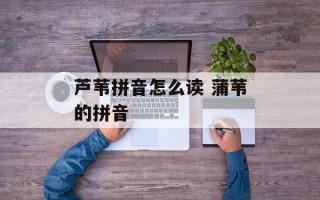 芦苇拼音怎么读 蒲苇的拼音