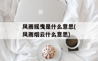 风雨摇曳是什么意思(风雨烟云什么意思)
