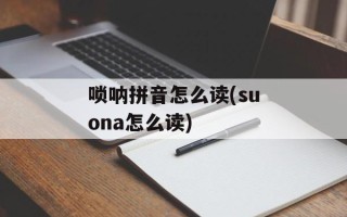唢呐拼音怎么读(suona怎么读)