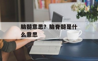 脑髓意思？脑脊髓是什么意思