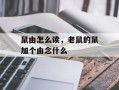 鼠由怎么读，老鼠的鼠加个由念什么