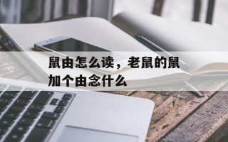 鼠由怎么读，老鼠的鼠加个由念什么