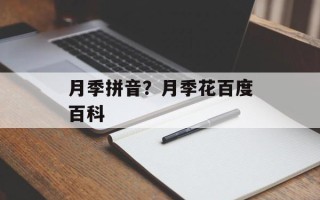 月季拼音？月季花百度百科