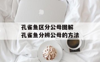 孔雀鱼区分公母图解 孔雀鱼分辨公母的方法