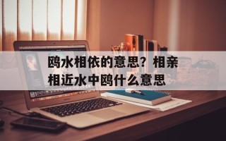 鸥水相依的意思？相亲相近水中鸥什么意思
