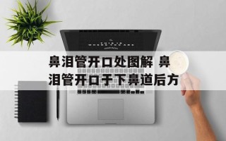 鼻泪管开口处图解 鼻泪管开口于下鼻道后方