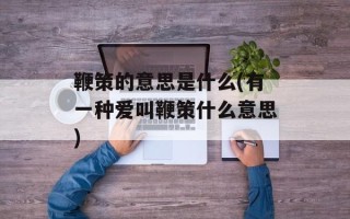 鞭策的意思是什么(有一种爱叫鞭策什么意思)