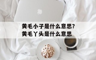 黄毛小子是什么意思？黄毛丫头是什么意思
