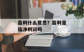 盈利什么意思？盈利是指净利润吗