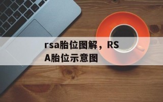 rsa胎位图解，RSA胎位示意图