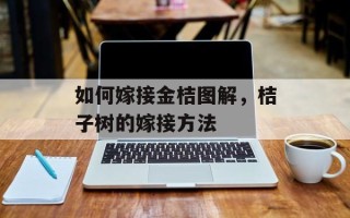 如何嫁接金桔图解，桔子树的嫁接方法