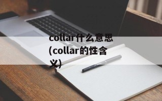 collar什么意思(collar的性含义)