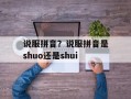 说服拼音？说服拼音是shuo还是shui