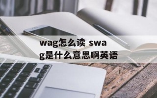 wag怎么读 swag是什么意思啊英语