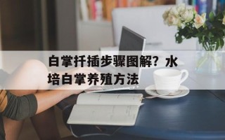 白掌扦插步骤图解？水培白掌养殖方法