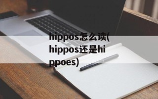 hippos怎么读(hippos还是hippoes)