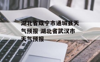 湖北省咸宁市通城县天气预报 湖北省武汉市天气预报