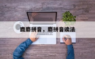 鹿麝拼音，麝拼音读法
