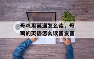 母鸡用英语怎么读，母鸡的英语怎么读音发音