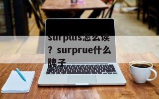 surplus怎么读？surprue什么牌子