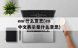 enr什么意思(en中文表示是什么意思)