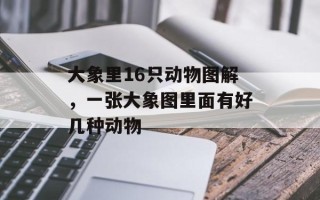 大象里16只动物图解，一张大象图里面有好几种动物