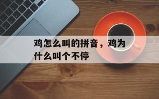鸡怎么叫的拼音，鸡为什么叫个不停
