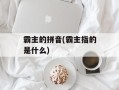 霸主的拼音(霸主指的是什么)