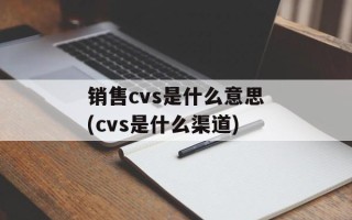 销售cvs是什么意思(cvs是什么渠道)