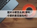 紫叶小檗怎么读(紫叶小檗的果实能吃吗)