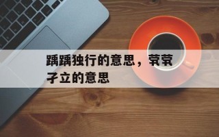 踽踽独行的意思，茕茕孑立的意思