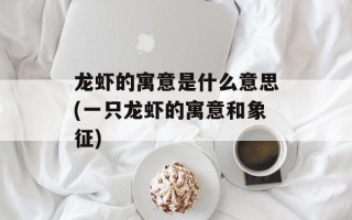龙虾的寓意是什么意思(一只龙虾的寓意和象征)