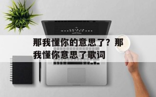 那我懂你的意思了？那我懂你意思了歌词