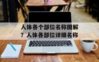 人体各个部位名称图解？人体各部位详细名称