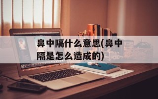 鼻中隔什么意思(鼻中隔是怎么造成的)