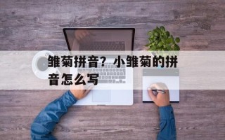 雏菊拼音？小雏菊的拼音怎么写