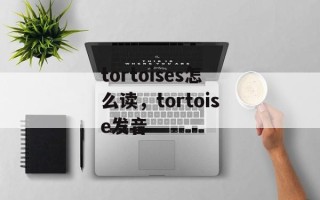 tortoises怎么读，tortoise发音