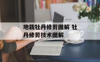 地栽牡丹修剪图解 牡丹修剪技术图解