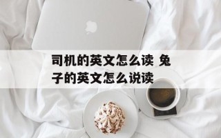 司机的英文怎么读 兔子的英文怎么说读