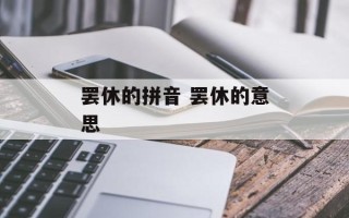 罢休的拼音 罢休的意思