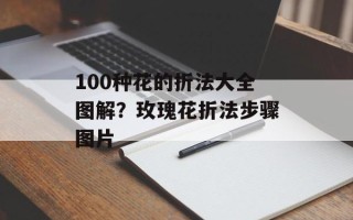 100种花的折法大全图解？玫瑰花折法步骤图片