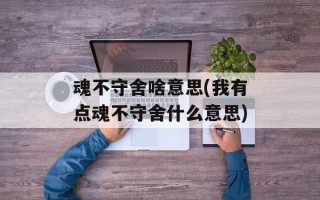 魂不守舍啥意思(我有点魂不守舍什么意思)